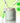 Shayshai Shay Aloe PDRN Cooling Mud Mask 100ml (on)  Masks, Pads, Patches Chosungah22