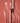 Estée Lauder Pure Color Melt-On Gloss Stick 3 Colors  Decorative cosmetics Estée Lauder