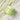 Redence Green Grape Gelato Pore Pack Cleanser 100ml  Skin Cleansing Redence