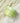 Redence Green Grape Gelato Pore Pack Cleanser 100ml  Skin Cleansing Redence