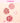 Canmake Cream Cheek 7 Colors  Decorative cosmetics Canmake