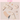 ETUDE All Day Clear BB Cream 35ml with Puff and Spatula  Decorative cosmetics ETUDE