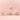 daisy mini chassis palette 2 colors (milk latte/rozmilkty)  Decorative cosmetics DaisyC