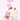 Canmake Glow Fleur Cheek 7 Colors  Decorative cosmetics CANMAKE
