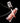 RISKY B Bold Lip Blushed 6 Colors  Decorative cosmetics RISKY