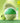 fully Lip Care 2-Pack (Green Tomato/Red Tomato)  Decorative cosmetics fully