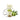 Dalan Diolive Pure Olive Nourishing Hand Cream 60ml  Body Care Dallan