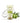 Dalan Diolive Pure Olive Nourishing Hand Cream 60ml  Body Care Dallan