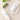 Dr. Bio Eco Sun Moisturizer 100g  Sunscreen Dr. Bio