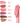 TIPTOE Mustang Lip Matte 6 Colors  Decorative cosmetics TIPTOE