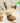 narka Hype Fit Hair Mascara  Hair Care narka