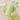 Slow Humming Fruitinary Relief Perfume Balm Bubbly Musk  Solid Perfumes Slow Humming