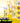 CNP Propolis Energy Active Ampoule 30ml x 2ea +15ml  Toners, Serums, Essences CNP