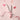 Eglips Cover Fit Lip Base 5 Types  Decorative cosmetics Eglips