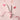 eglips Cover Fit Lip Base 5 Types  Decorative cosmetics eglips