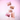 [NEW COLOR] 7 colors  Decorative cosmetics Etude