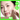 O'earth Firming Soothing PDRN Catechin Cheek Pad 90 sheets  Masks, Pads, Patches ORAES