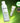 Zeroid Intensive Cream Toner 200ml  Toners, Serums, Essences ZEROID