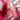 Torhop Pink Aurora Body Lotion 250ml  Body Care Torhop