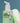 Jumiso The Panthenol Barrier Soothing Cleansing Milk 300ml  Skin Cleansing Jumiso