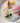 A'pieu Jelly Honey Lip Oil 3 Types  Decorative cosmetics A'pieu