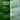 INNISFREE Green Tea Ceramide Milk Essence 160ml  Toners, Serums, Essences INNISFREE