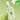 Body Fantasy Body Spray 50ml  Body Care BodyFantasy