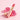 Estée Lauder Pure Color Jelly Glow Balm 5 Colors  Decorative cosmetics Estée Lauder