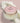 SABON Body Scrub 200g 3 Types  Body Care SABON