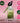 Ton28 Haenam404 Glow Cream and Serum 50ml  Toners, Serums, Essences Tone28