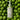 CKD AHABHA Textured Zero Cleansing Oil 200ml  Skin Cleansing CKD