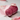 NEW Vanilla Edition/June All Young Pick Pue Rose Obsession Stay Fit Tint (Glow/Matte) (+Latte Gloss)  Decorative cosmetics PYUNGI