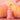 2aN Dewy Fit Tint 10 Colors  Decorative cosmetics 2aN