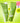 beplain Mung Bean Weakly Acidic Cleansing Foam 160ml (2-pack, 320ml total)  Skin Cleansing beplain