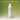 SEEDBEE Citrus Daily Body Milk 250ml  Body Care SEEDBEE
