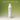 SEEDBEE Citrus Daily Body Milk 250ml  Body Care SEEDBEE