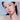 Dinto Overload Lip Glaze 2.3g 2 Colors  Decorative cosmetics Dinto