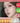 Nuni Apple Lip Oil 12 Scents  Decorative cosmetics nooni