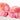 APieu Blur Tin Pot 5.3g 23 Colors  Decorative cosmetics APieu
