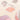 [NEW] IGLELIPS MUD LAYERING CHICK 5 KINDS (SINGLE ITEM)  Decorative cosmetics Eglips