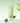 Shingmulnara Young Green Tea Soothing Gel Cream 100ml  Toners, Serums, Essences Shingmulnara