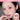 colorgram Nude Blur Stick 13 Colors  Decorative cosmetics colorgram