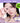 Colorgram Pocket Ring Eye Palette 5 Colors  Decorative cosmetics Colorgram