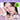[5월 올영픽/포켓몬 EDITION/NEW]COLOR BOX POCKETING KIDS PALETTE 5COLOR  Decorative cosmetics Colorgram