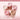 Rosie Kim VOL Mellow Blushing Serum 5 Colors  Decorative cosmetics ROZIKIM