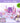 Colorgram Pokemon Metamon Edition 20 Colors  Decorative cosmetics Colorgram