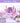 Colorgram Pokemon Metamon Edition 20 Colors  Decorative cosmetics Colorgram