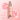 Velvet Bunny Skin Perfume 80ml 5 Variants  Solid Perfumes VELVET BUNNY