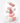 The Saem Cover Perfection Blur Concealer 5ml 5 Shades  Decorative cosmetics The Saem
