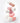 The Saem Cover Perfection Blur Concealer 5ml 5-pack  Decorative cosmetics The Saem